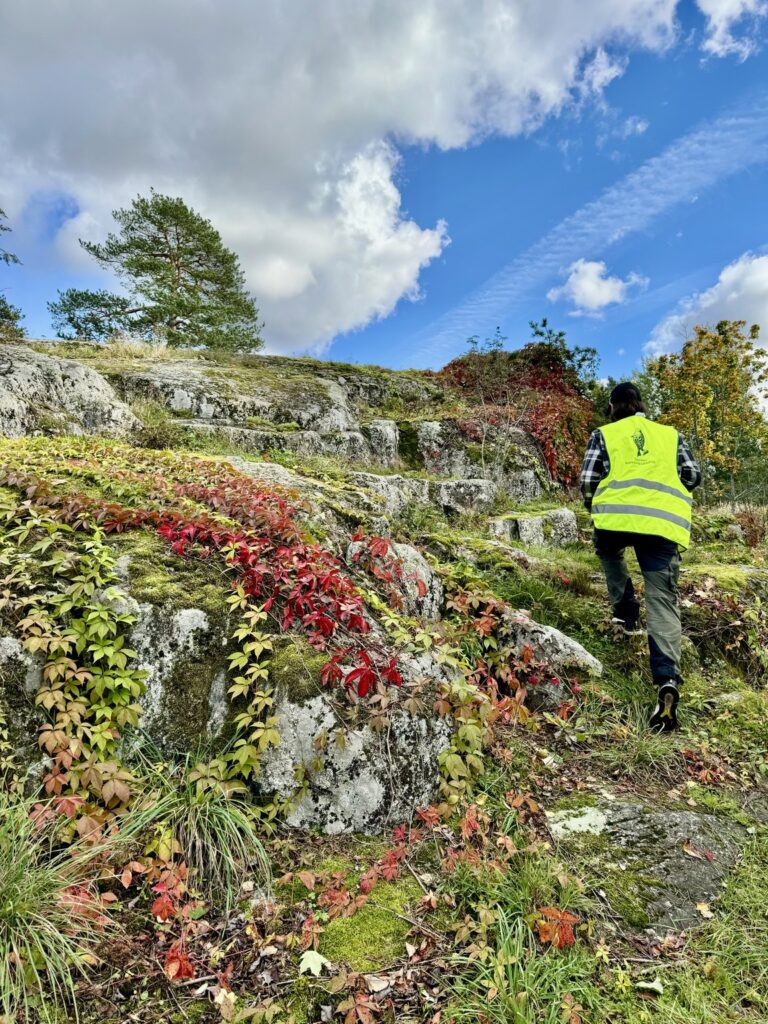 Mies kävelee ylös värikkään kasvuston peittämää kalliorinnettä.