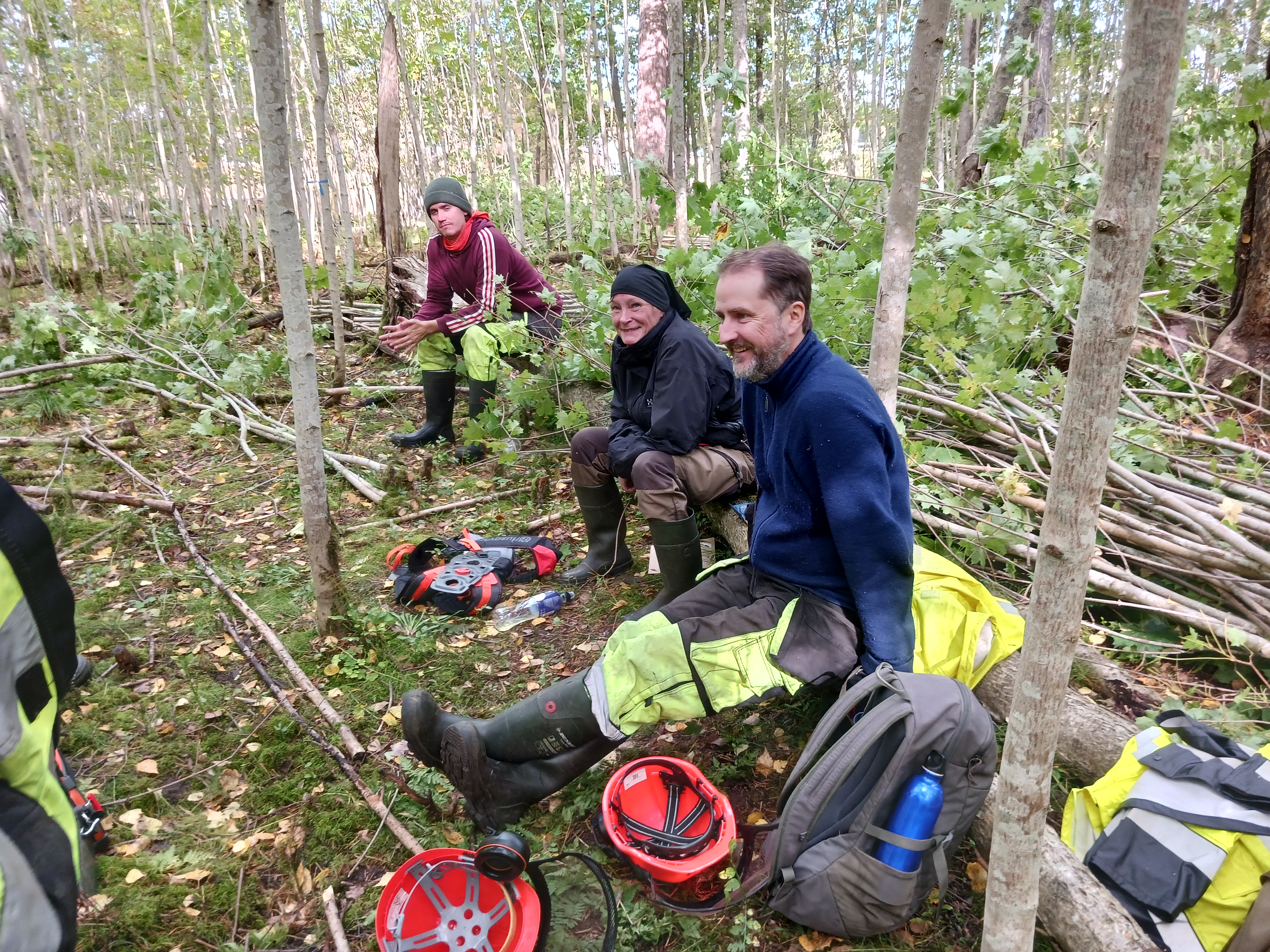 Kaksi luonnonhoitajaa etualalla ja yksi vähän kauempana istuu tauolla puunrungon päällä Hagenin lehtometsässä Ympärillä on kaadettuja vaahteranvesoja.