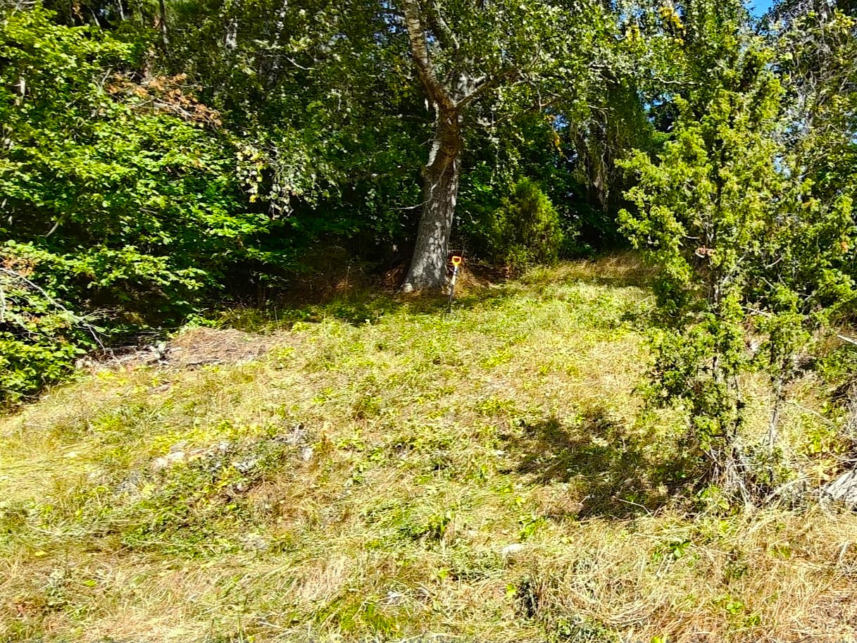 Melko jyrkkä ketorinne niitettynä aurinkoisessa säässä. Etualalla kataja, takana lehtipuita.