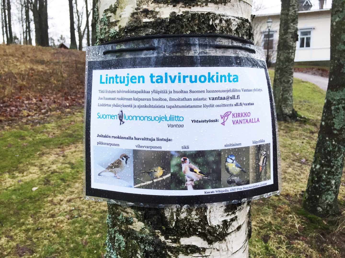 Vantaan yhdistyksen talviruokinta. Kuva: Kaarina Aro