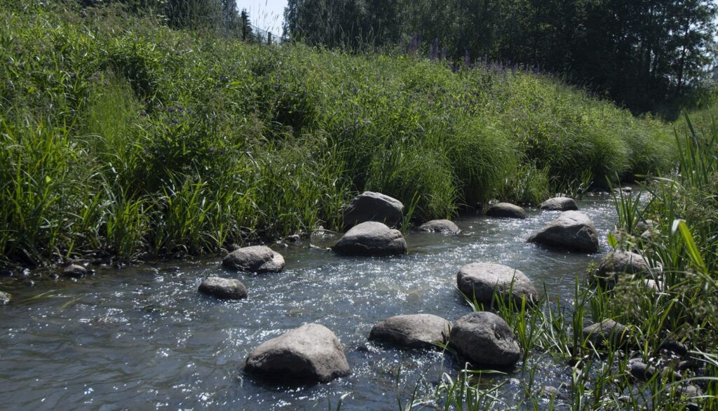 Vesi virtaa Longinojan kaupunkipurossa
