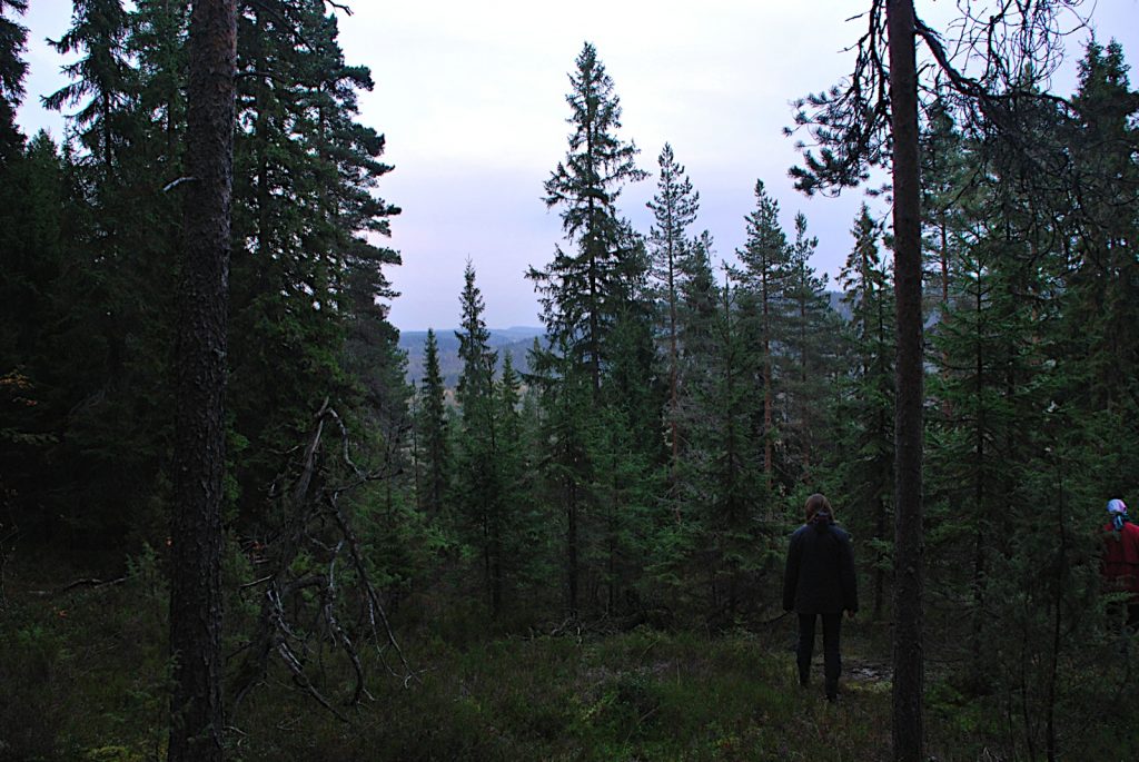 Hämärässä metsässä kaksi ihmistä.