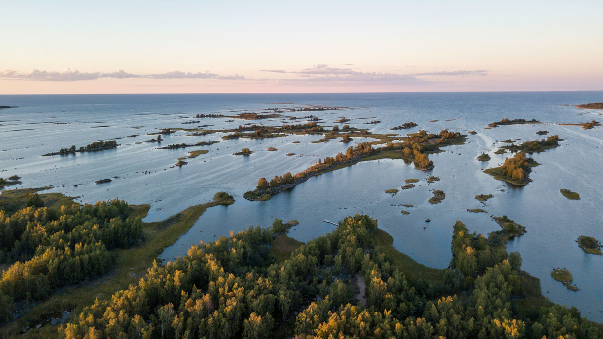 Maisemakuva Itämerestä kesällä.