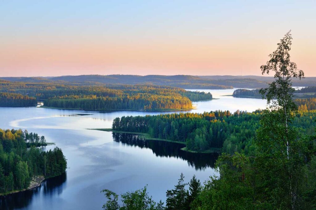 Järvimaisema kesäisessä ilta-auringossa.