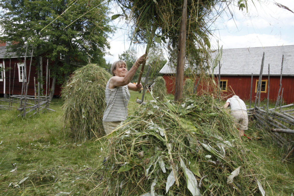 Perinnemaisematalkoot Seitsemisessä