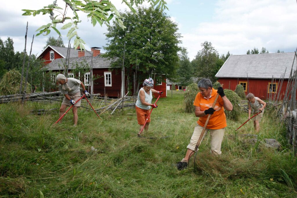 perinnemaisematalkoot