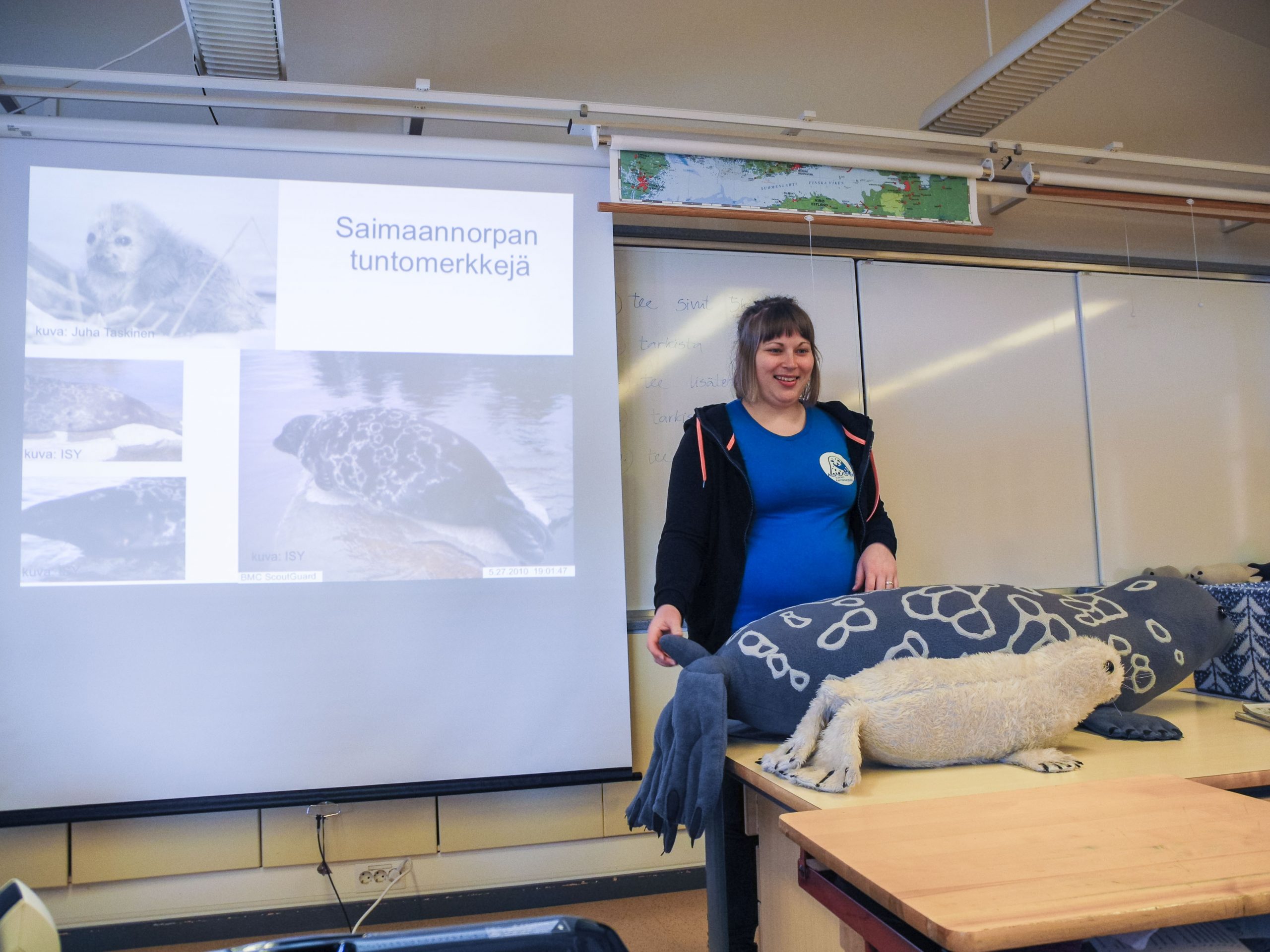 Luonnonsuojeluliiton Norppalähettiläät kiertävät Saimaan alueen päiväkodeissa ja kouluissa.