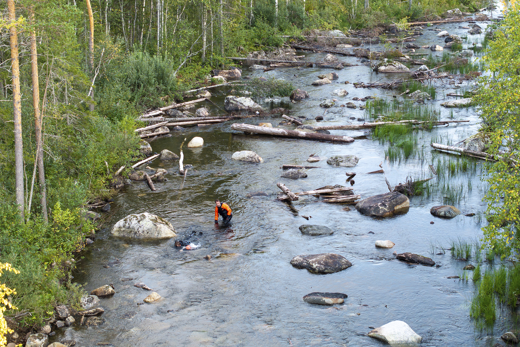 Virtaveden ennallistamista EKOenergian hankkeessa Ruotsissa.
