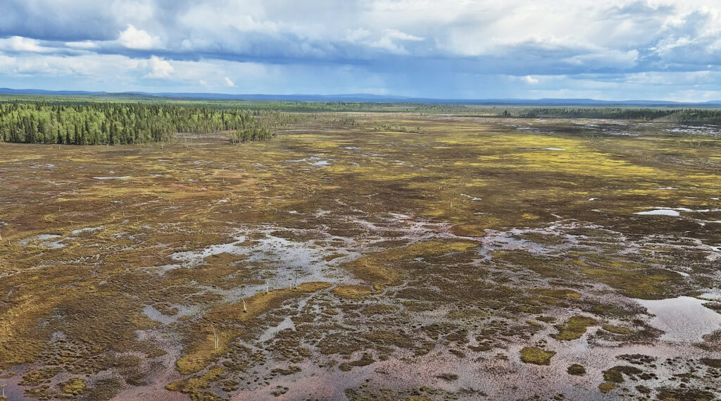 Ilmakuva Viiankiaavalta.