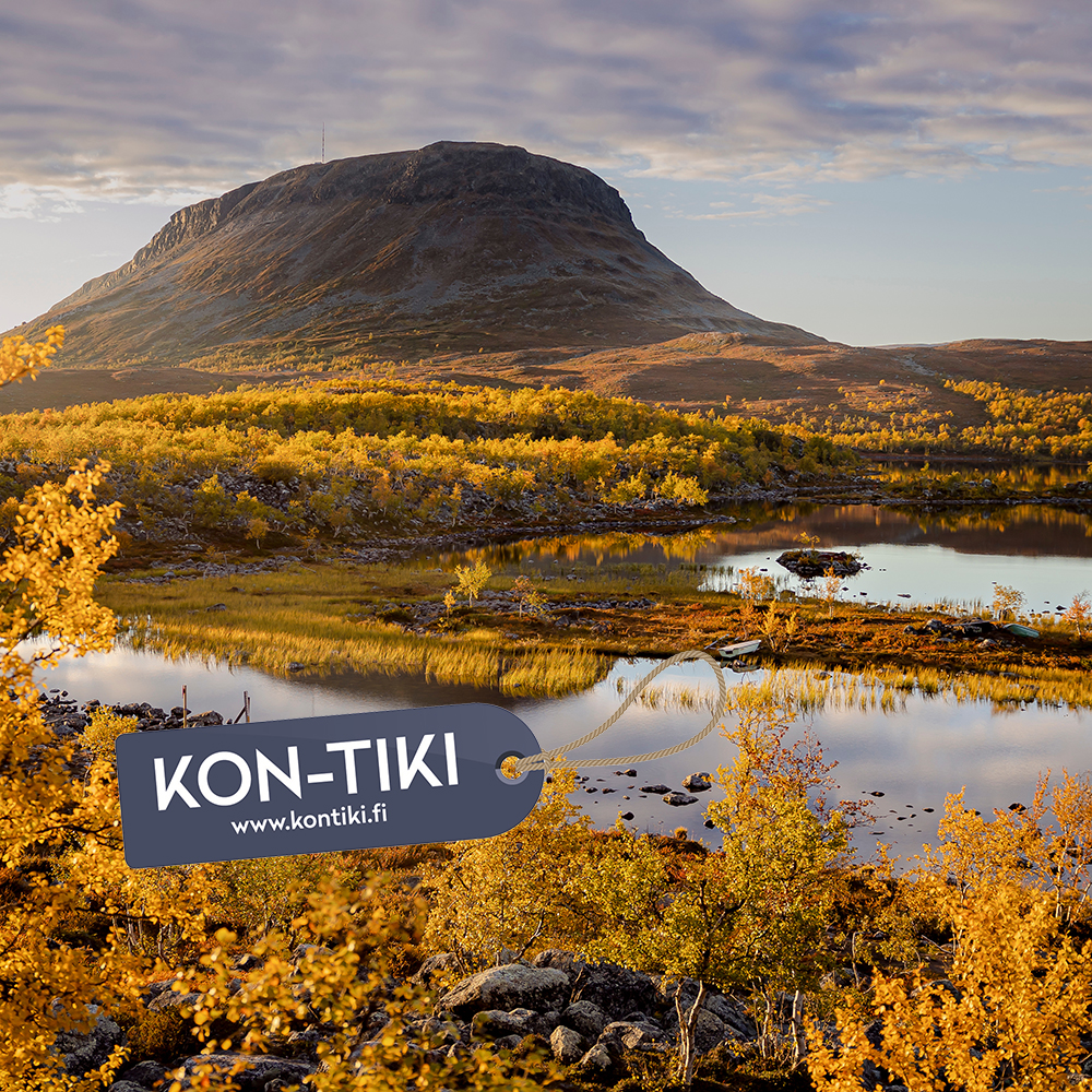 Koristekuva, Saana