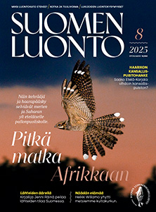 Suomen Luonto -lehden kannessa on kehrääjä.