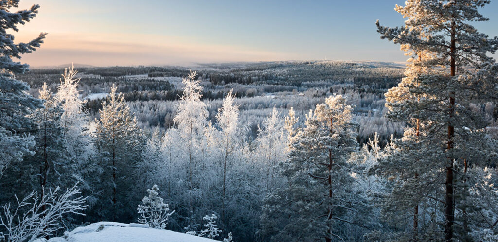 Talvimaisema.