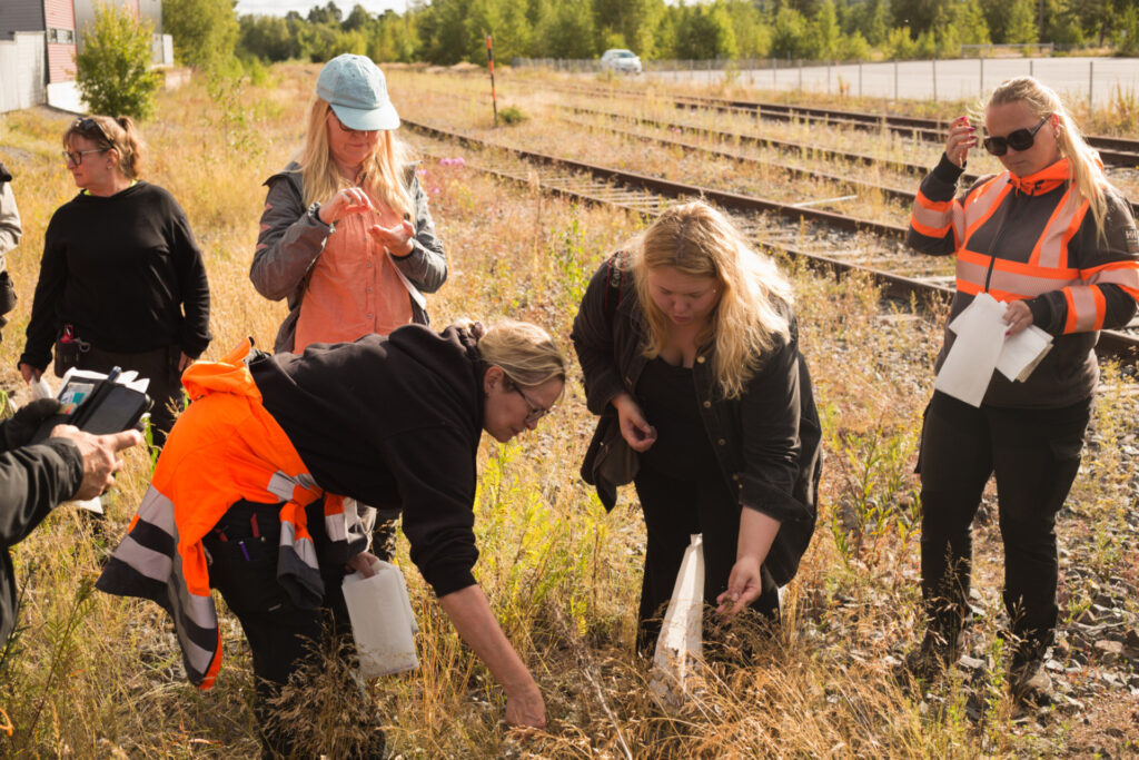 Siementenkeruun maastokoulutus