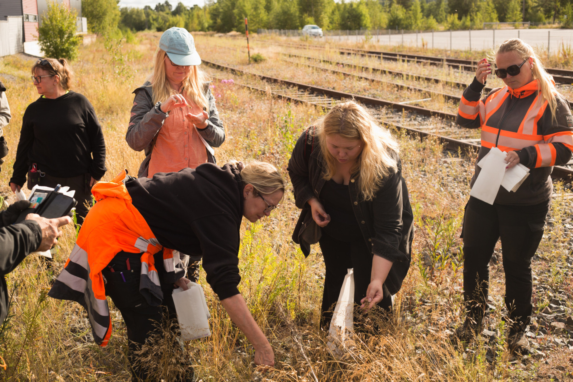 Siementenkeruun maastokoulutus