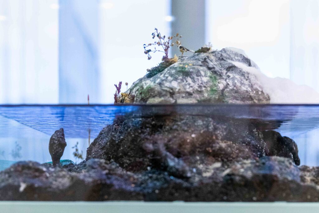 Saimaan neljää vuodenaikaa kuvaavassa pienoismallissa norppa sukeltaa pinnan alla kallion juuressa.