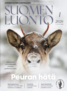 Suomen Luonto -lehden kannessa on metsäpeura.