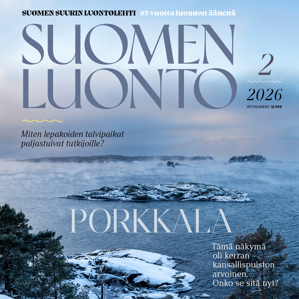 Suomen Luonto -lehden kannessa on lumisia luotoja.