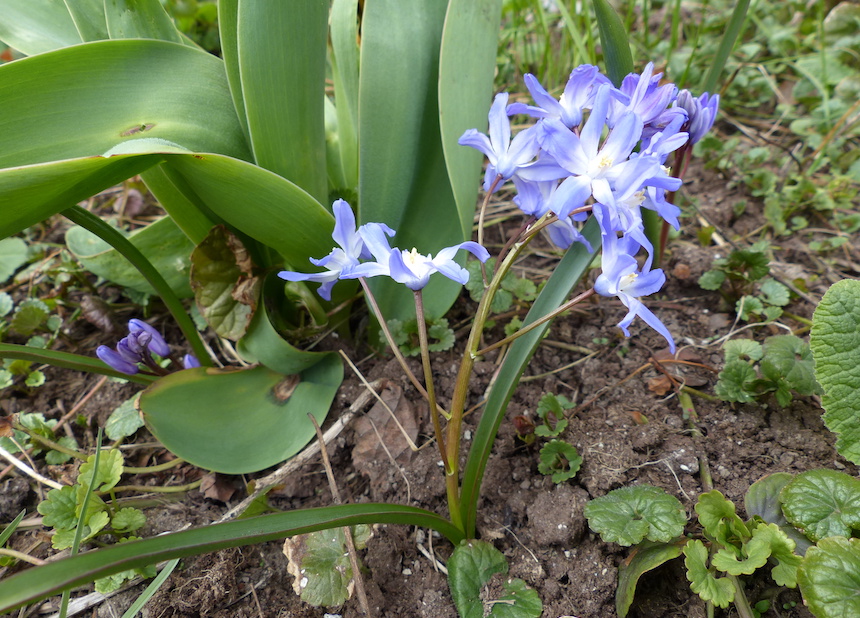 Kirjokev&auml;tt&auml;hti.