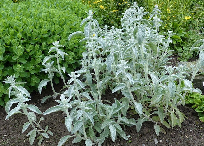 Nukkap&auml;hk&auml;m&ouml;.