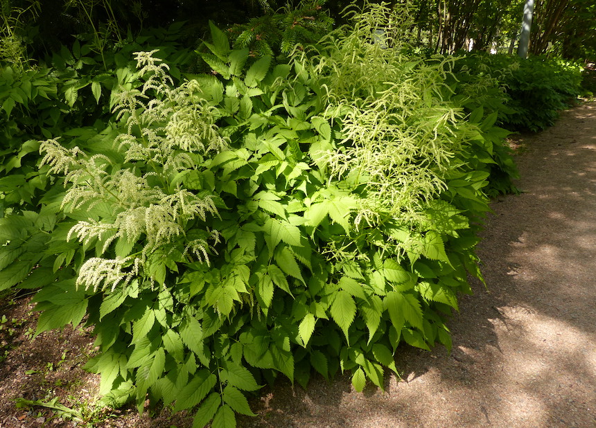 Isot&ouml;yht&ouml;angervo.