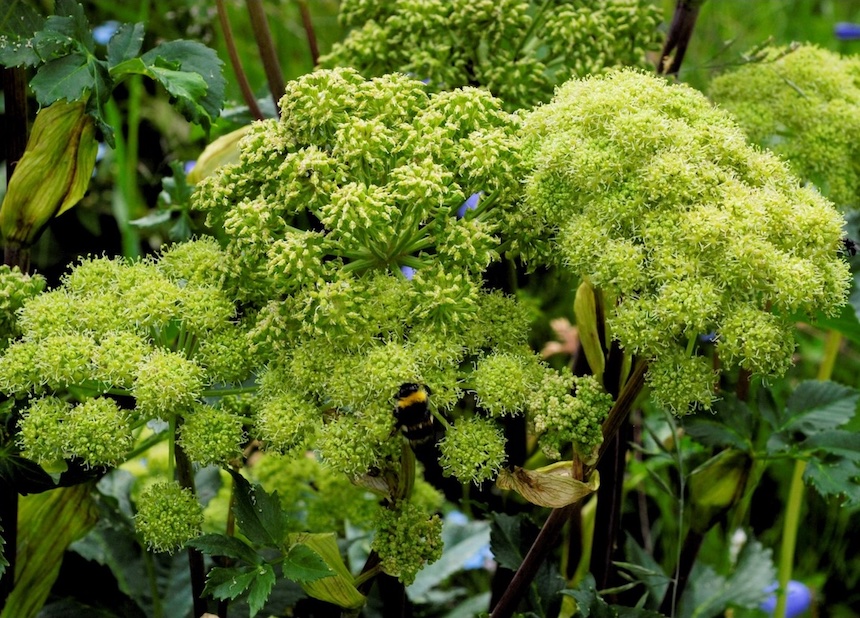 V&auml;in&ouml;nputki.