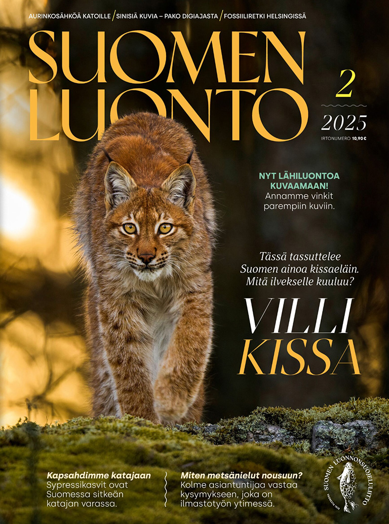 Suomen Luonnon kansi.