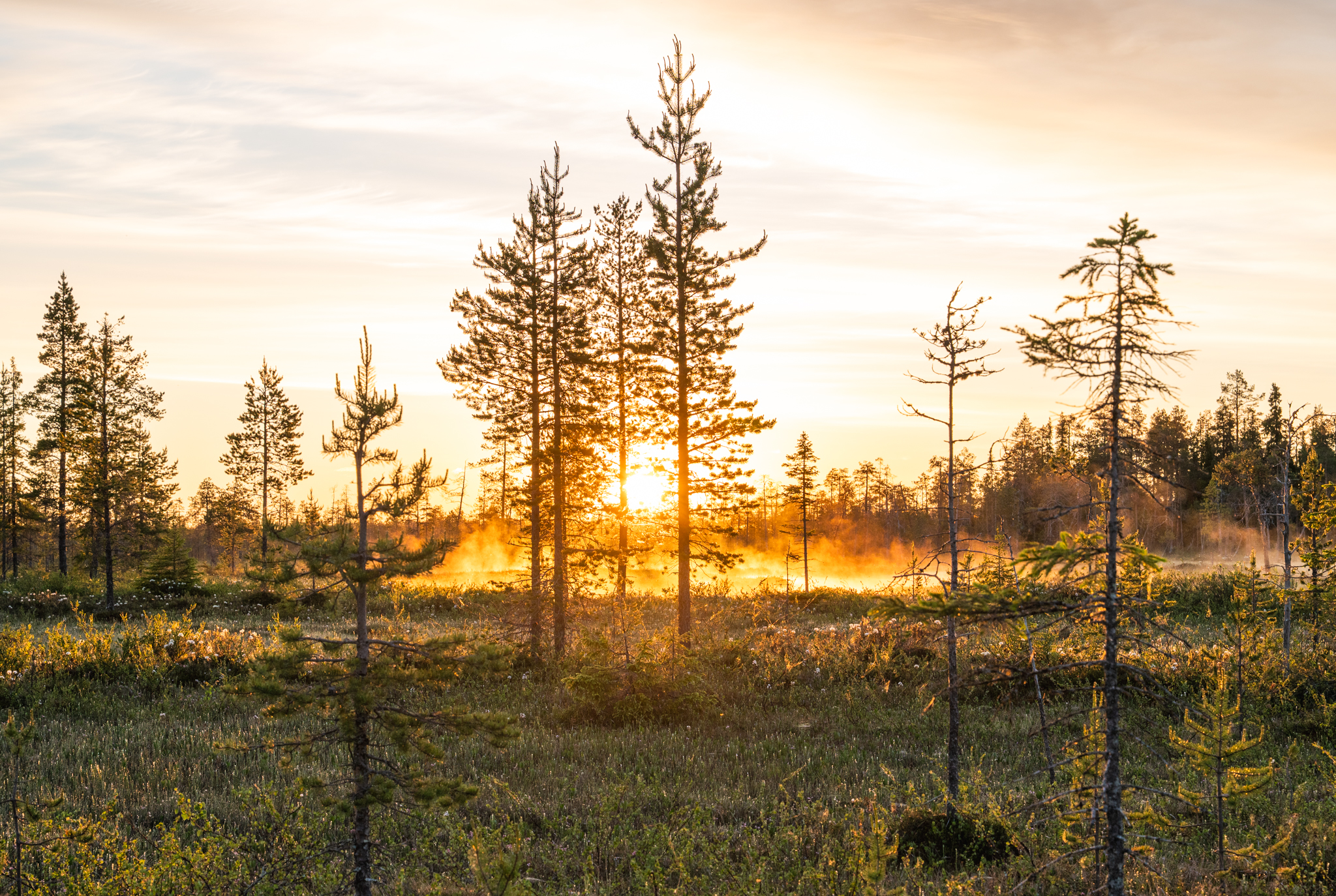 Keskiyön aurinko Viiankiaavalla.