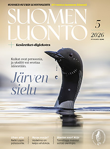 Suomen Luonto -lehden kannessa on kuikka.