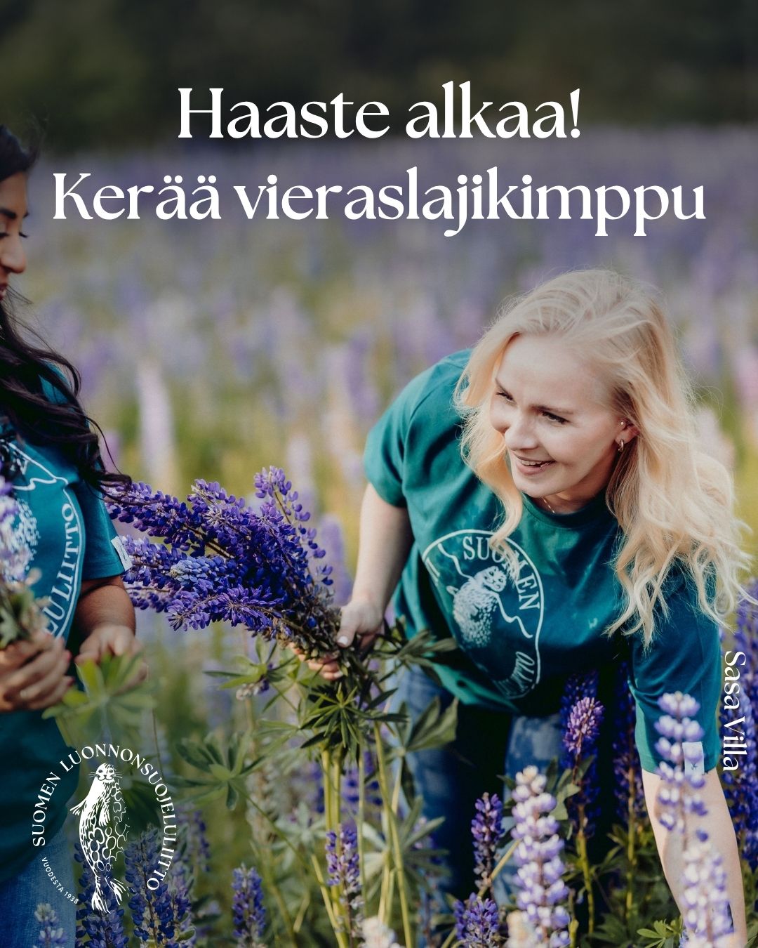 Kuvassa on henkilö, joka poimii vieraslajeista kukkakimpun.