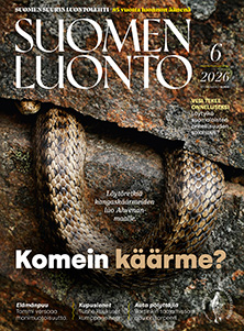 Suomen Luonto -lehden kannessa on kangaskäärme.