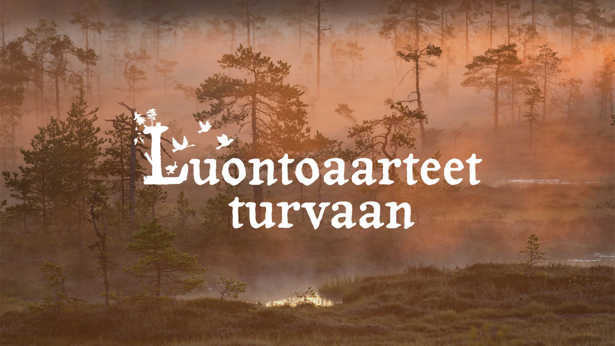 Luontoaarteet turvaan -logon taustalla kaunis suo.