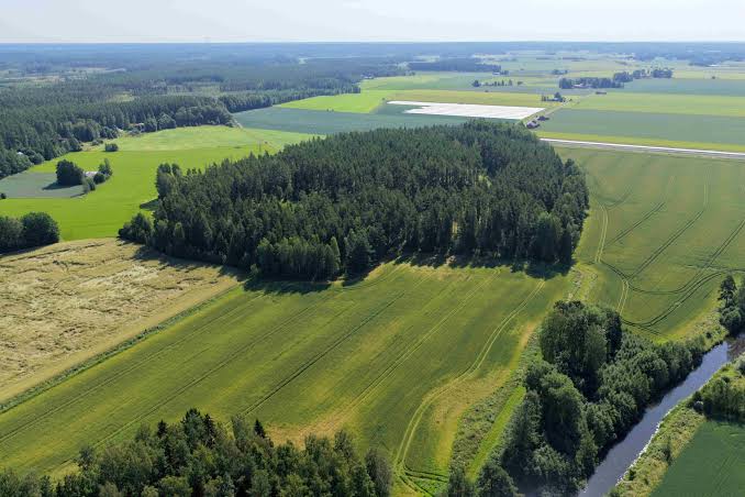 Kuvassa n&auml;kyy vihreit&auml; viljelypeltoja, keskell&auml; oleva mets&auml;saareke sek&auml; vesist&ouml;/oja oikeassa alakulmassa.
