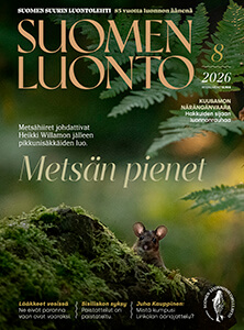 Suomen Luonto -lehden kannessa on metsähiiri.