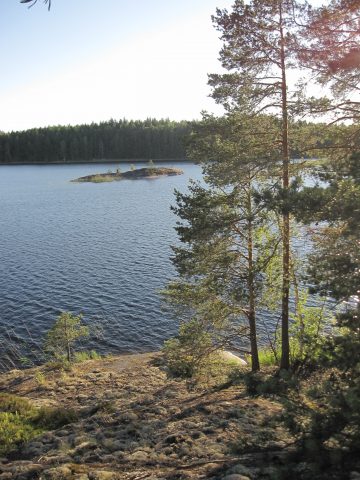 Luonteri