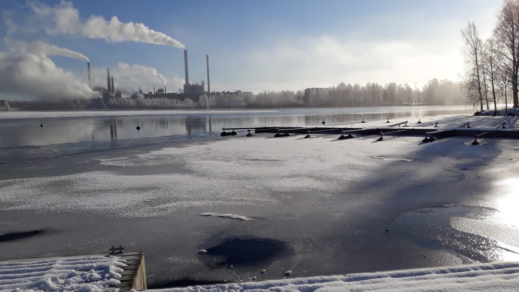 Huruslahti 8.3.2020 Kuva Liisa Tolvanen