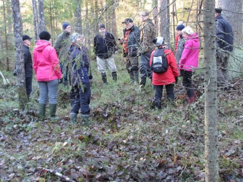 metsäretkeläisiä vanhassa metsässä