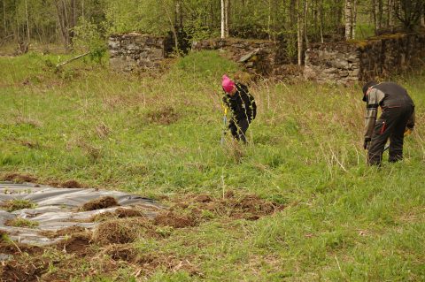 torjuntaa
