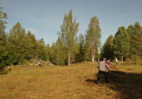 Mäkiharjun haravointi talkoot