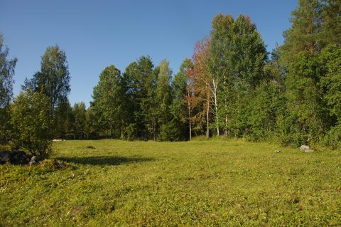 mäkiharjun niitto- ja haravoitnti talkoot