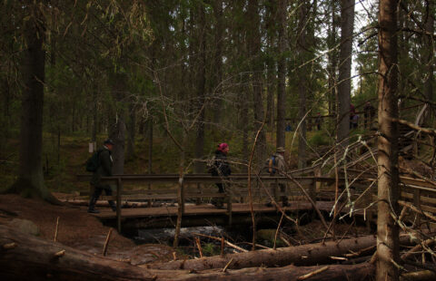 Korkeakoski