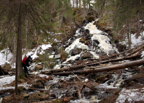Korkeakoski