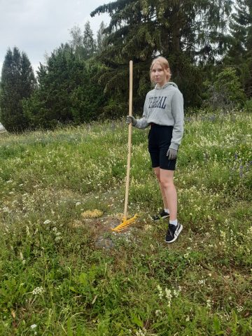 Kesäapulainen Martha Nikander on hoitanut Sarapiston ketoa niittämällä