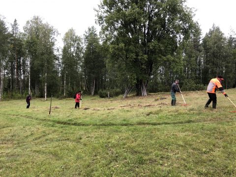 Haravointitalkoot