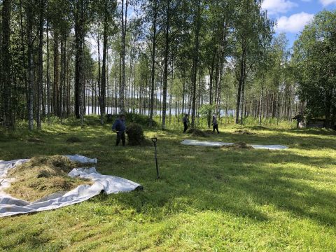 Tiilikan kansallispuiston talkoot 2020