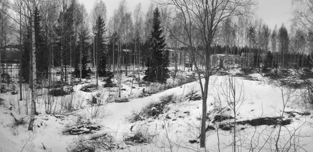 Kosteikkopuiston hakkuu