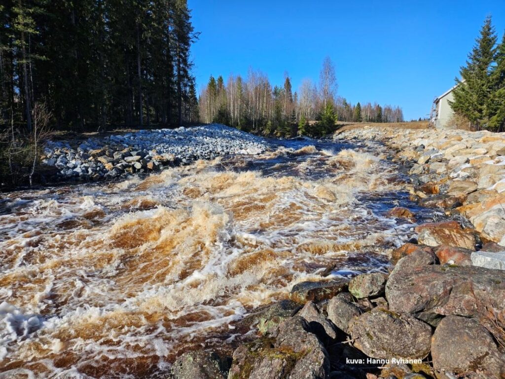 Saramojoen koskikuva