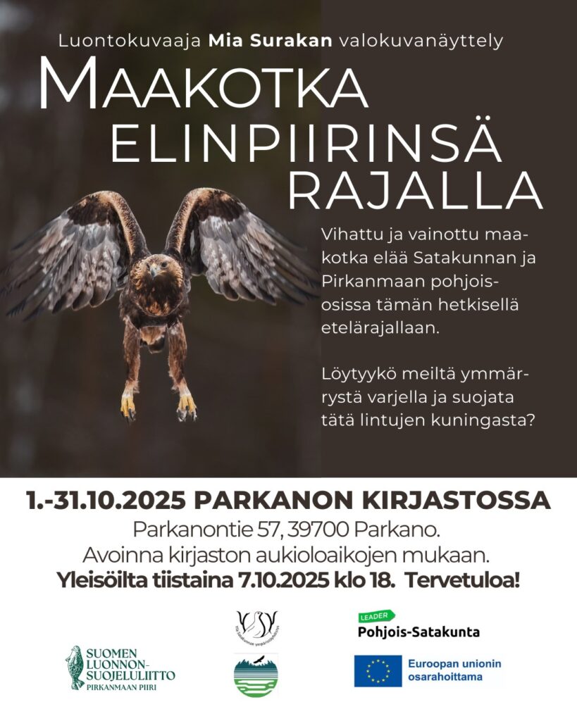 Maakotkanäyttely Parkanon kirjastossa 1.-31.10.2025