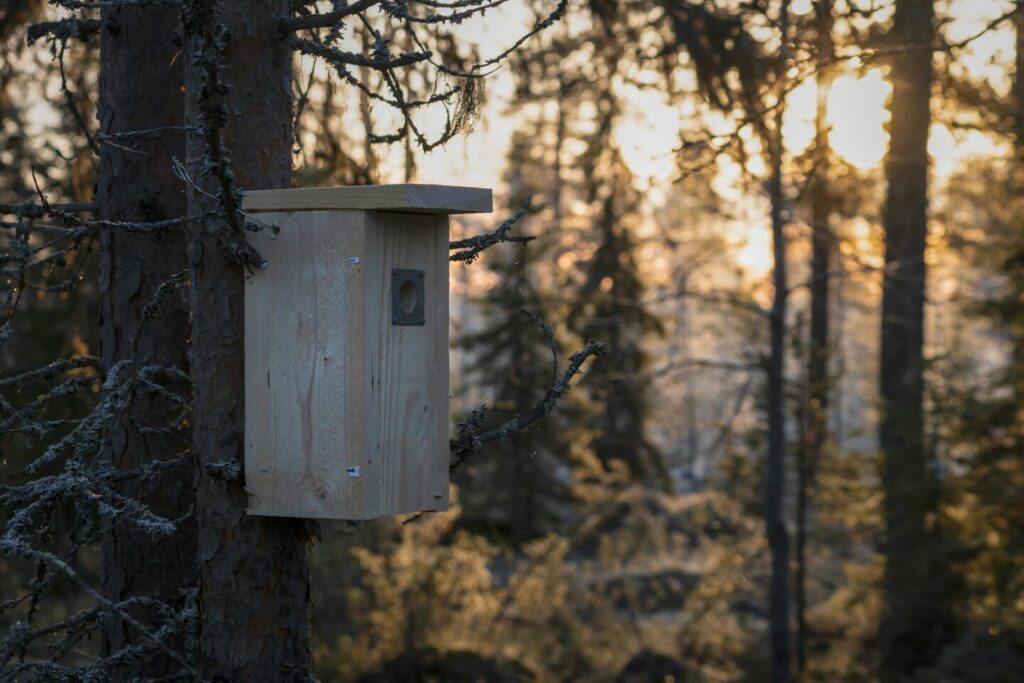 Kapealla puunrungolla on uusi, puinen linnunpönttö. Taustalla alkutalven metsää.