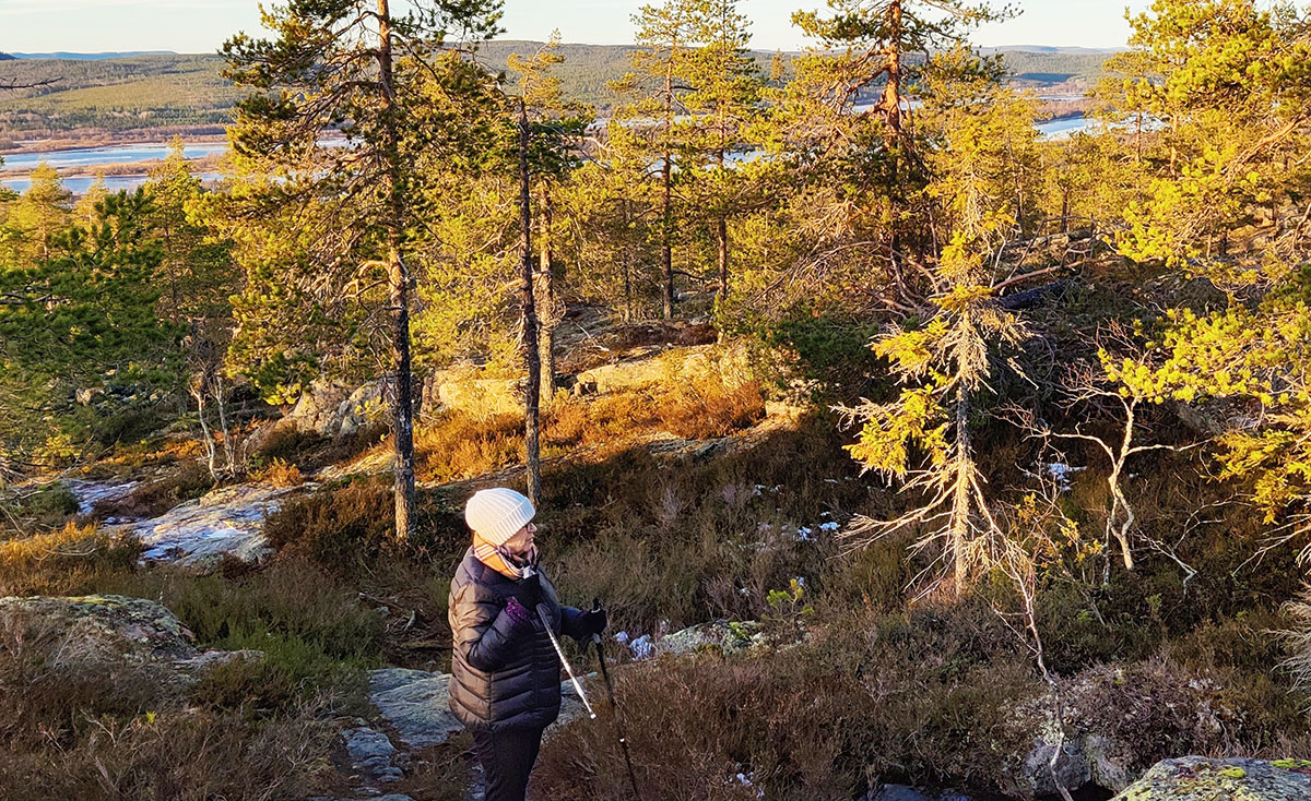 Metsäinen vaaranlaki, näkymä jokilaaksoon. Kuvassa nainen kävelysauvoineen.