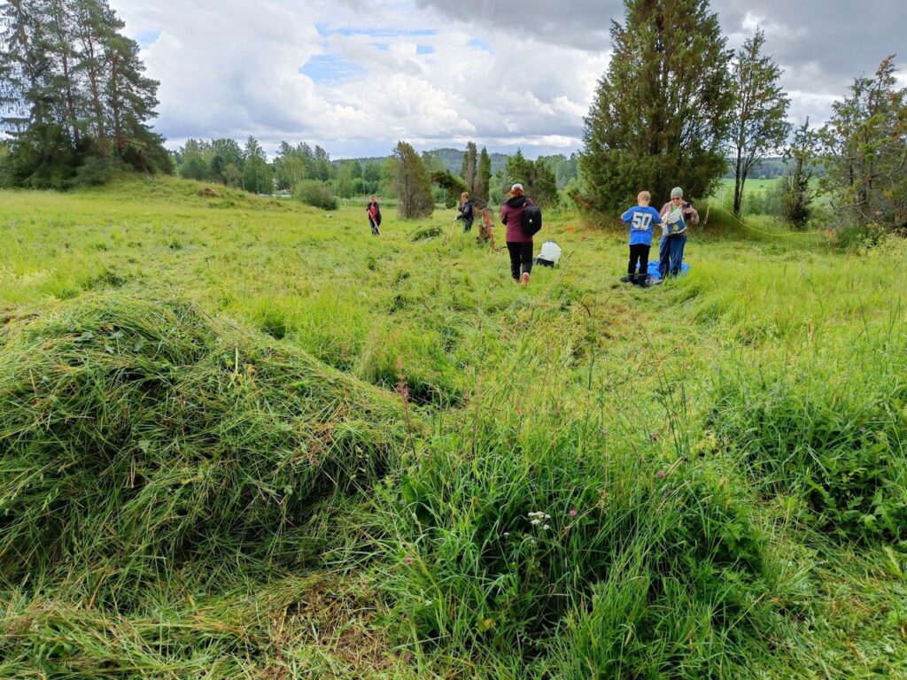 Niittotalkooväkeä poutapilvisessä täässä